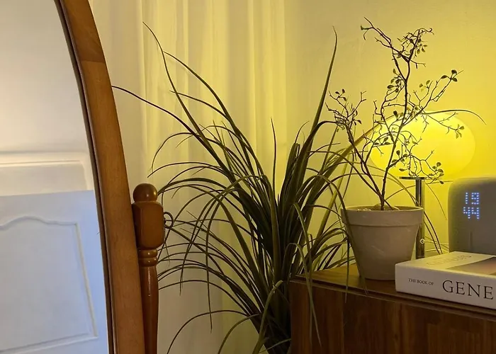 Hongik Station 5min,airport Railroad, Airport Bus,near Shopping Mall,myeongdong,itaewon,2rooms アパート ソウル特別市